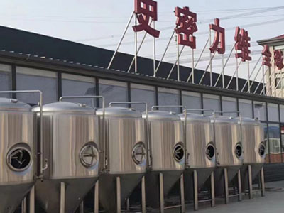 云县精酿啤酒设备厂—如何判断精酿啤酒设备的密封件需要更换？